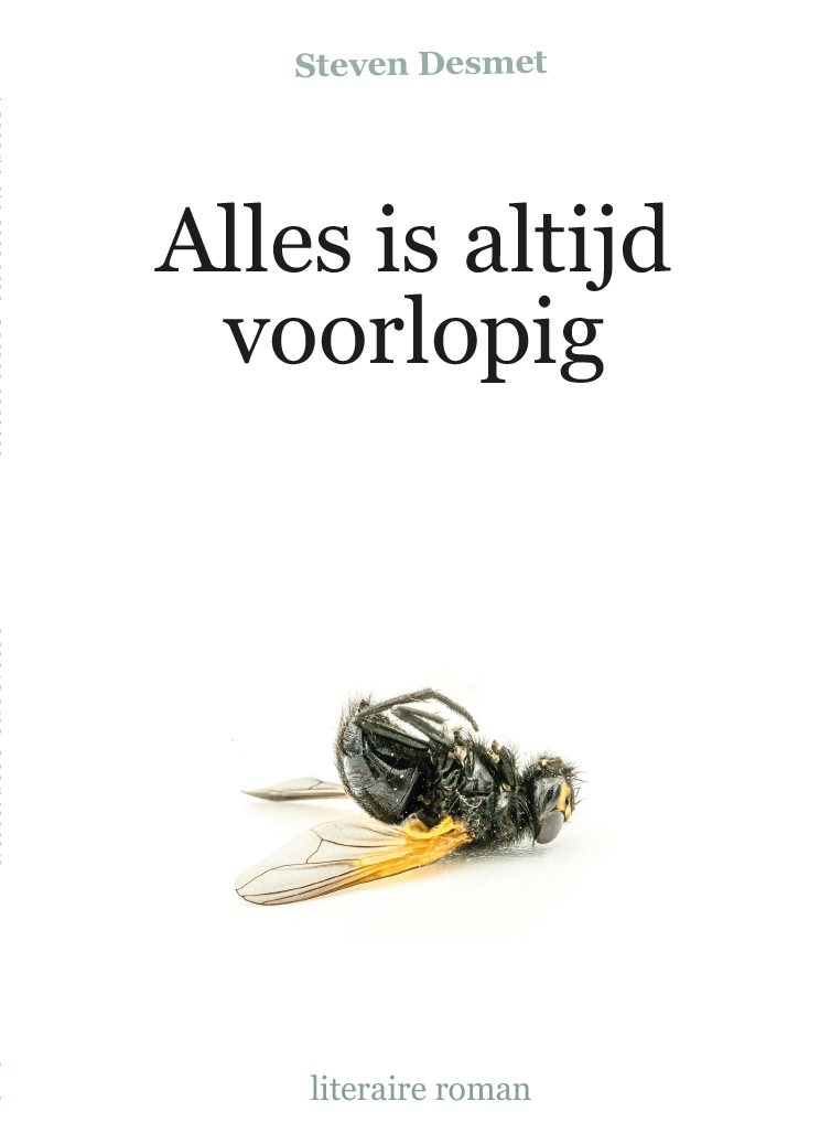 Omslag Alles is altijd voorlopig